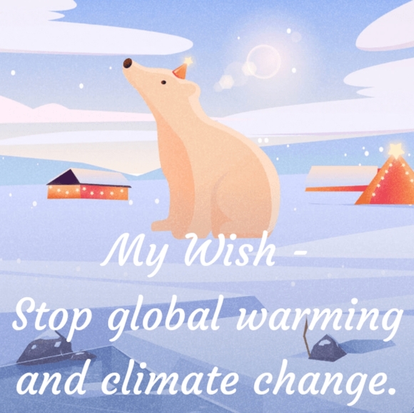 Meet your Posher, Rosina - Picture 4 of 4